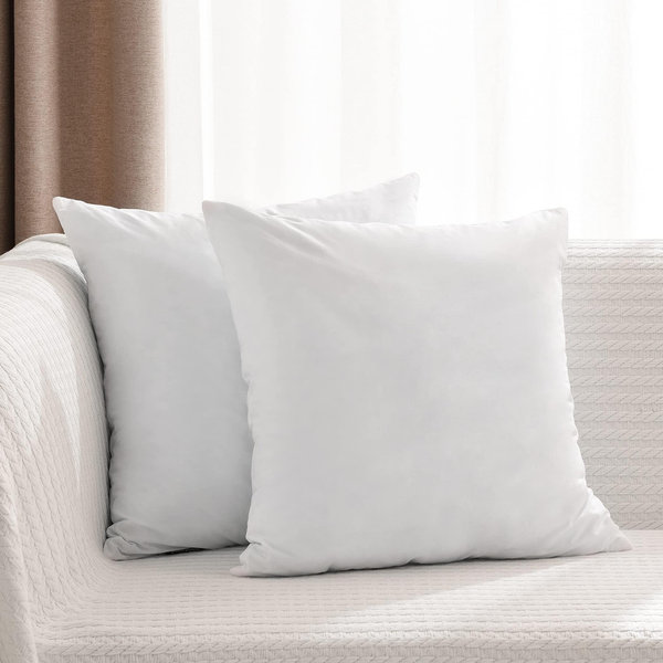 Pillow Inserts 22x22 - Set of 2