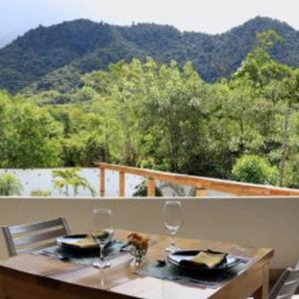 Dinner for Two in the Cloud Forest (Las Terrazas de Dana)