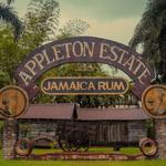 Appleton Rum Tour