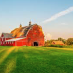 Hickory Nut Gap Farm