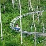 Park City Alpine Coaster