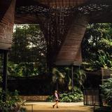 Jardín Botánico de Medellín