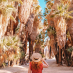 Explore Indian Canyons Palm Springs