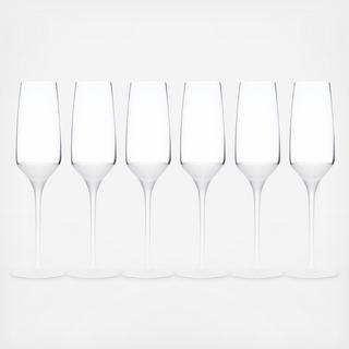 Frost Champagne Flute, Set of 6