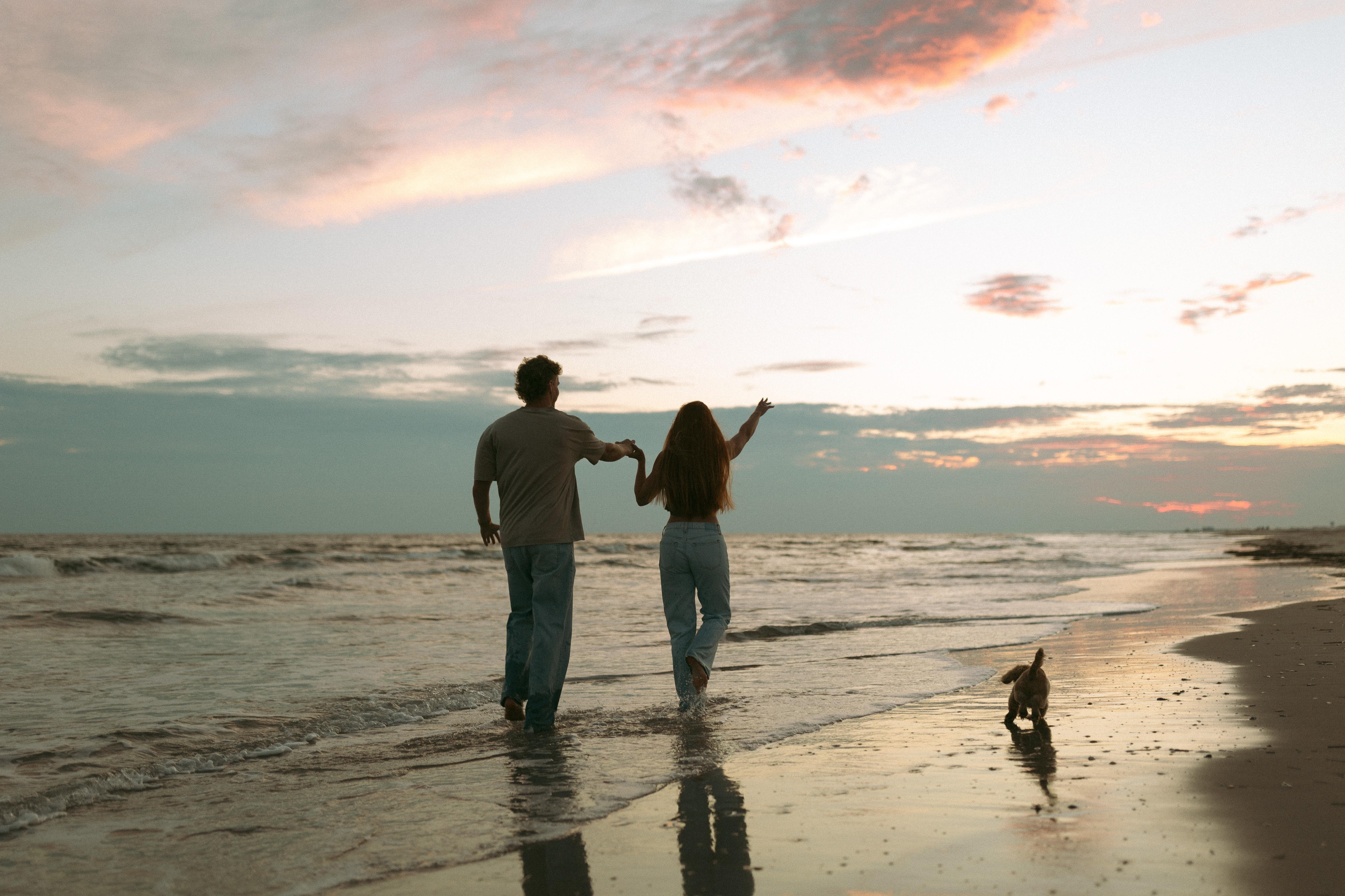 The Wedding Website of Alexandra Royer and Neil Petersen