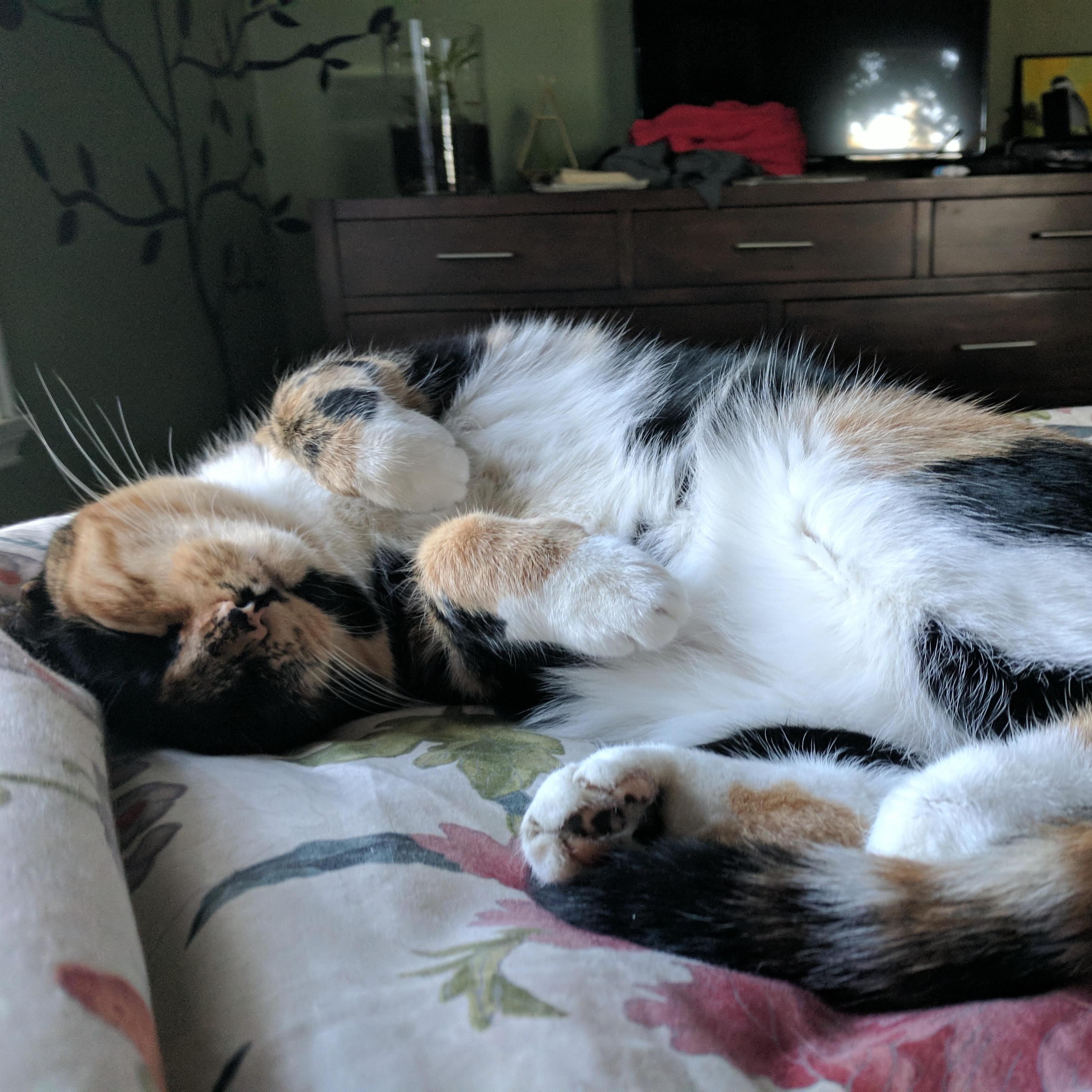 So. much. Joy.