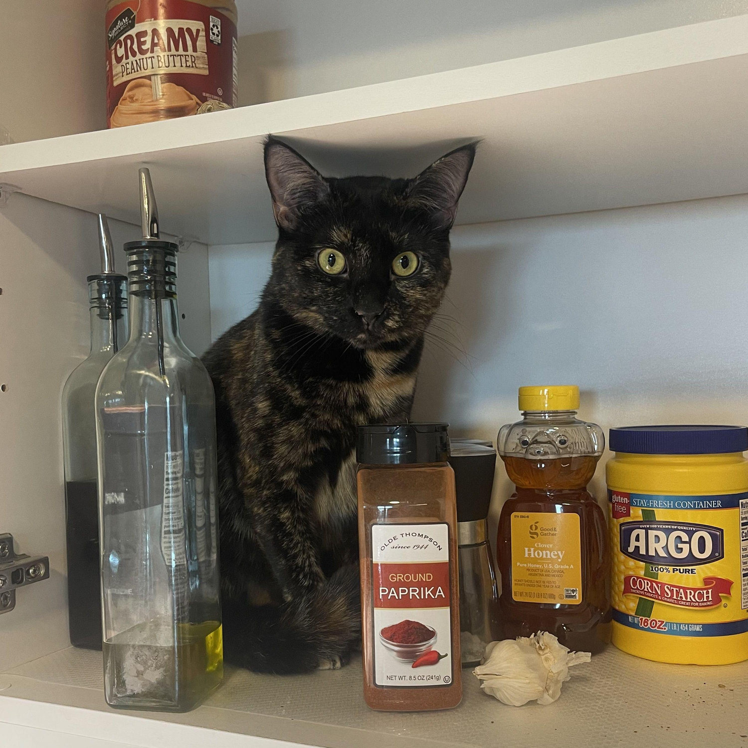 chives in cabinet