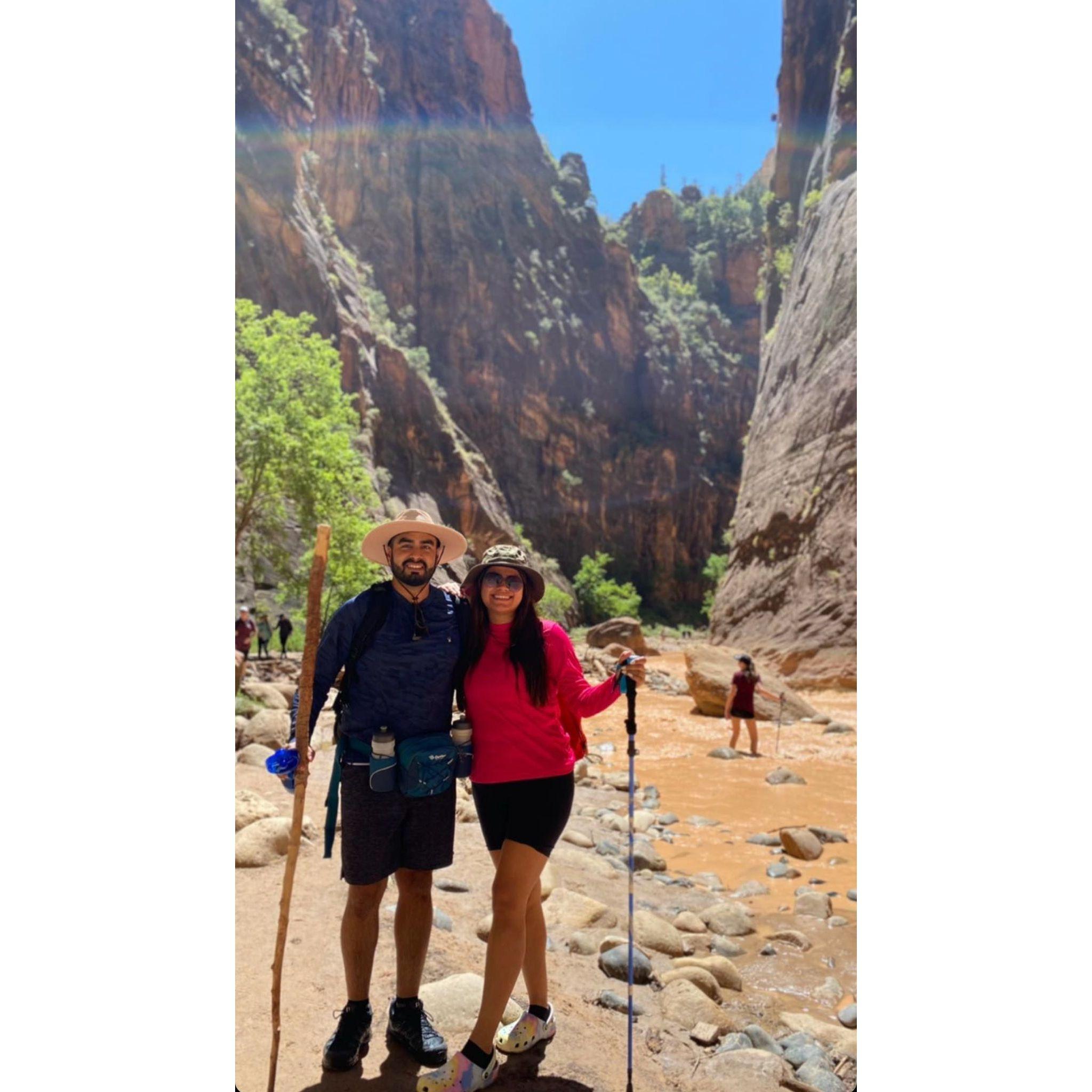 Zion National Park 2022