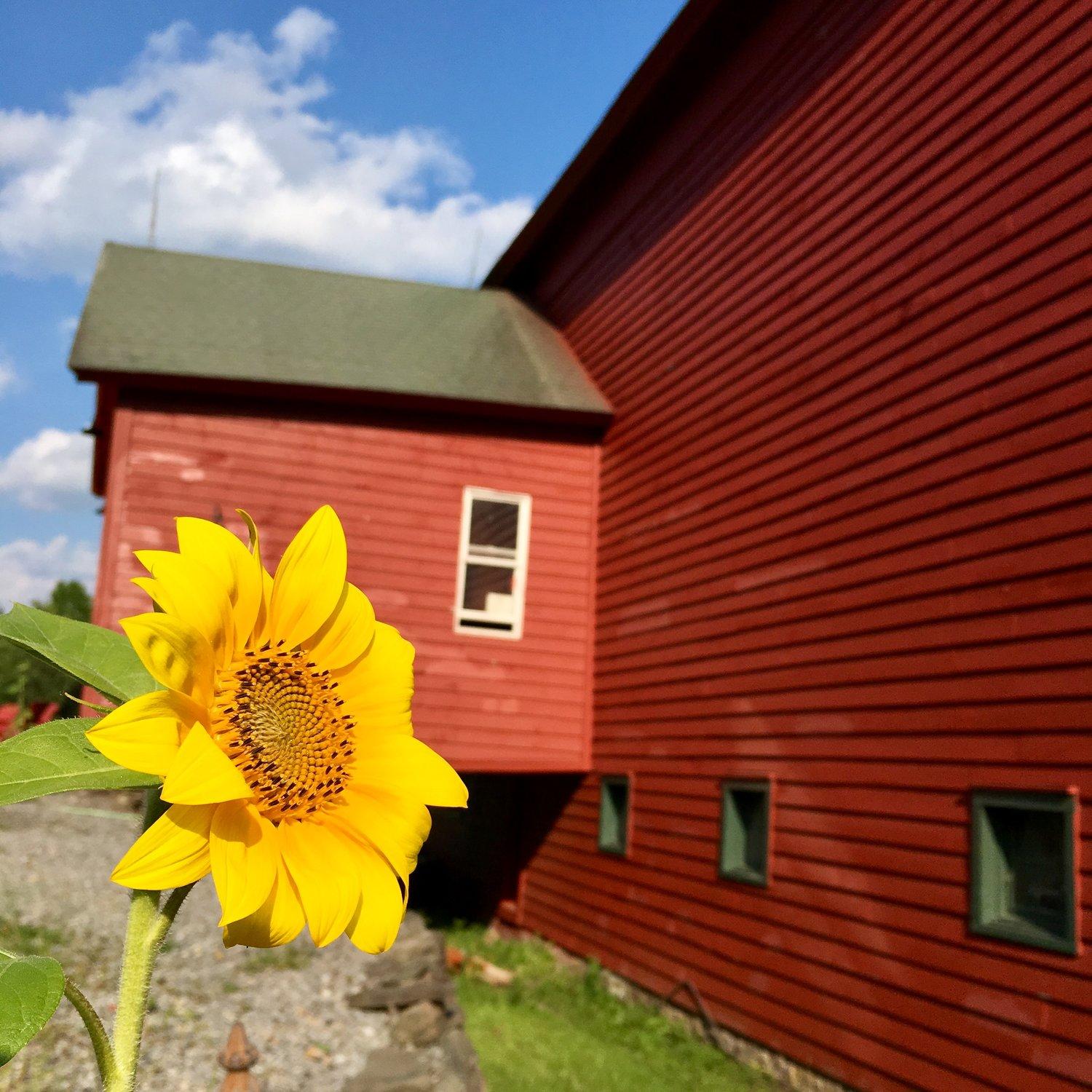 The Wedding Website of Annie Valant and Eric Needell