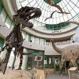 North Carolina Museum of Natural Sciences