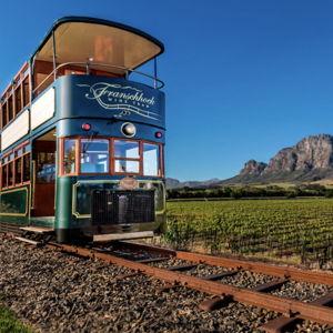 Private Wine Tour in Cape Town, South Africa