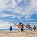 Camel Ride on the Beach