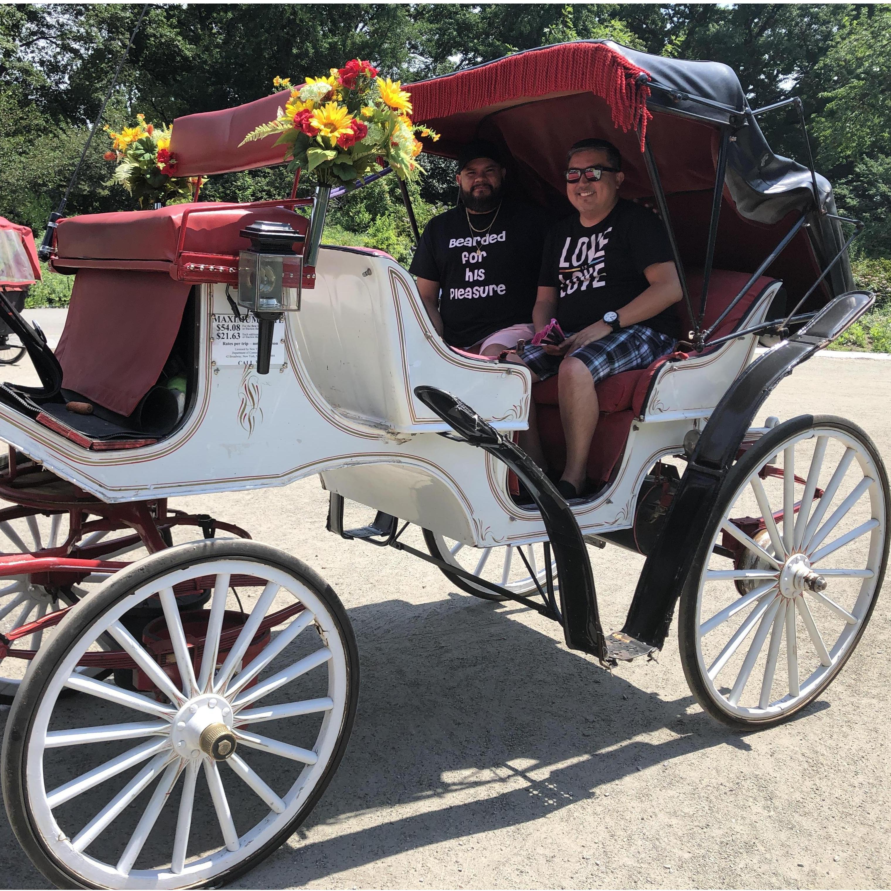 New York City Trip 2019 Carriage Ride through Central Park