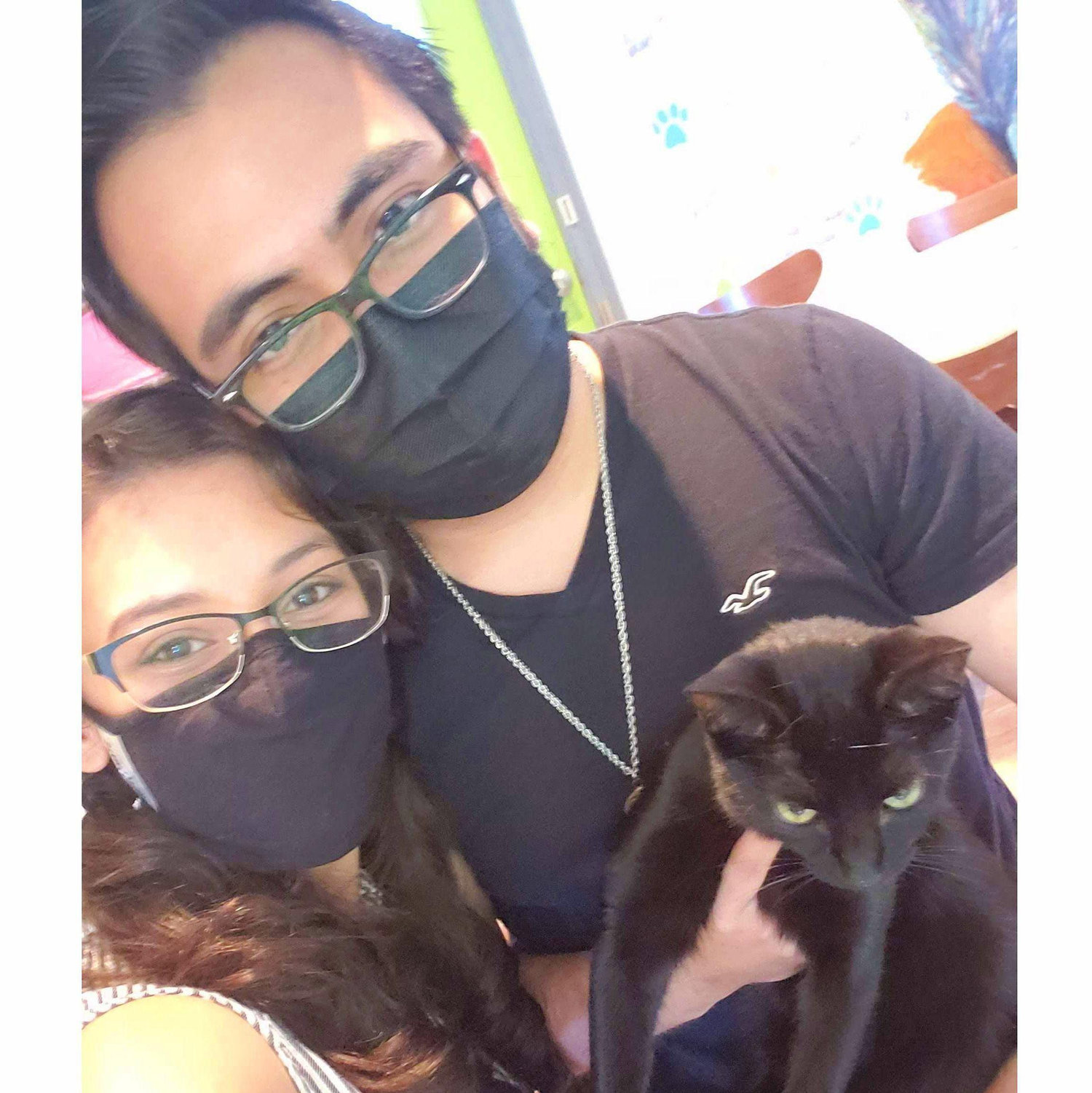 Little did he know he would soon become a cat person starting with "Black Cat Number 2" from the cat cafe!
