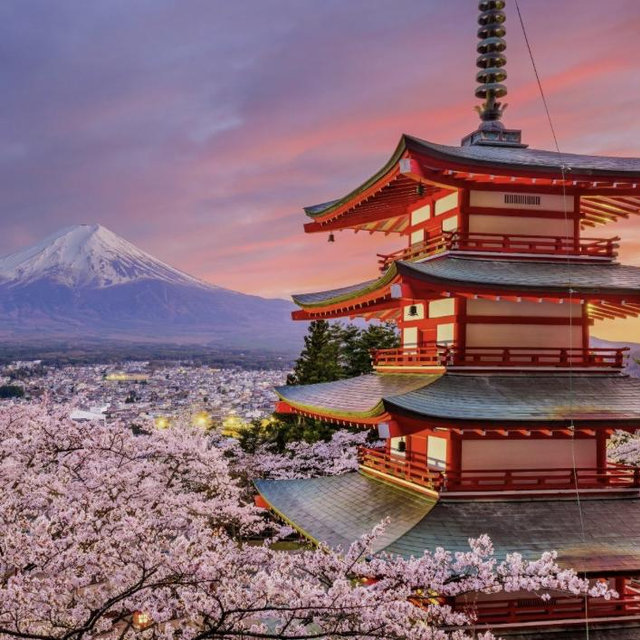 Honeymoon in Japan!
