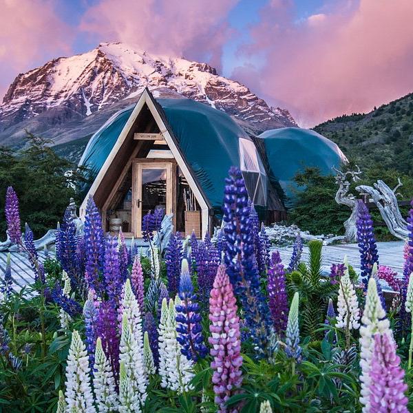 Lodging and 5 day safari at Ecocamp Patagonia