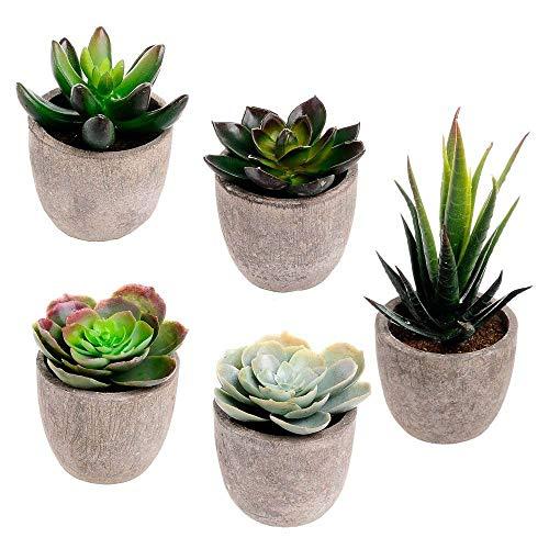 Assorted Decorative Faux Succulent Artificial Succulent Cactus Fake Cacti Plants with Gray Pots, Set of 5