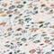 Pressed Petals