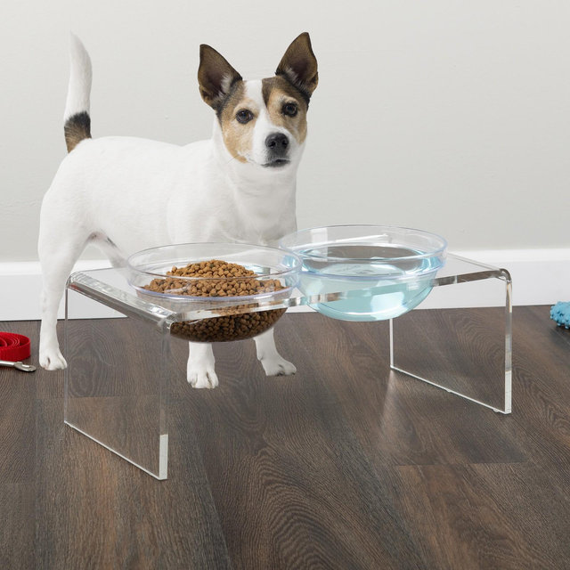 PETMAKER Elevated Acrylic Stand and Pet Bowls Set