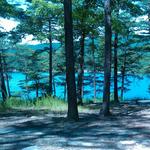 Carvins Cove Natural Reserve