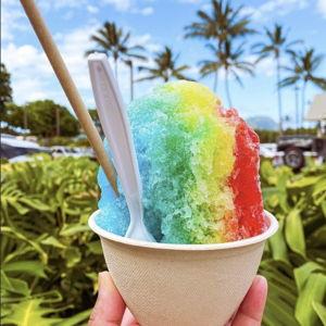 Shaved Ice and Acai Bowl Fund