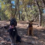 Pine Trailhead