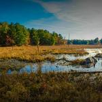 Take a Hike or Walk a Nature Trail
