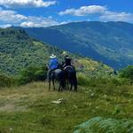 Horseback Riding Tour