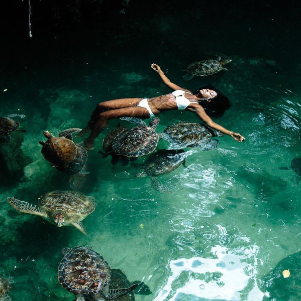Excursion to Salaam Turtle Cove in Zanzibar