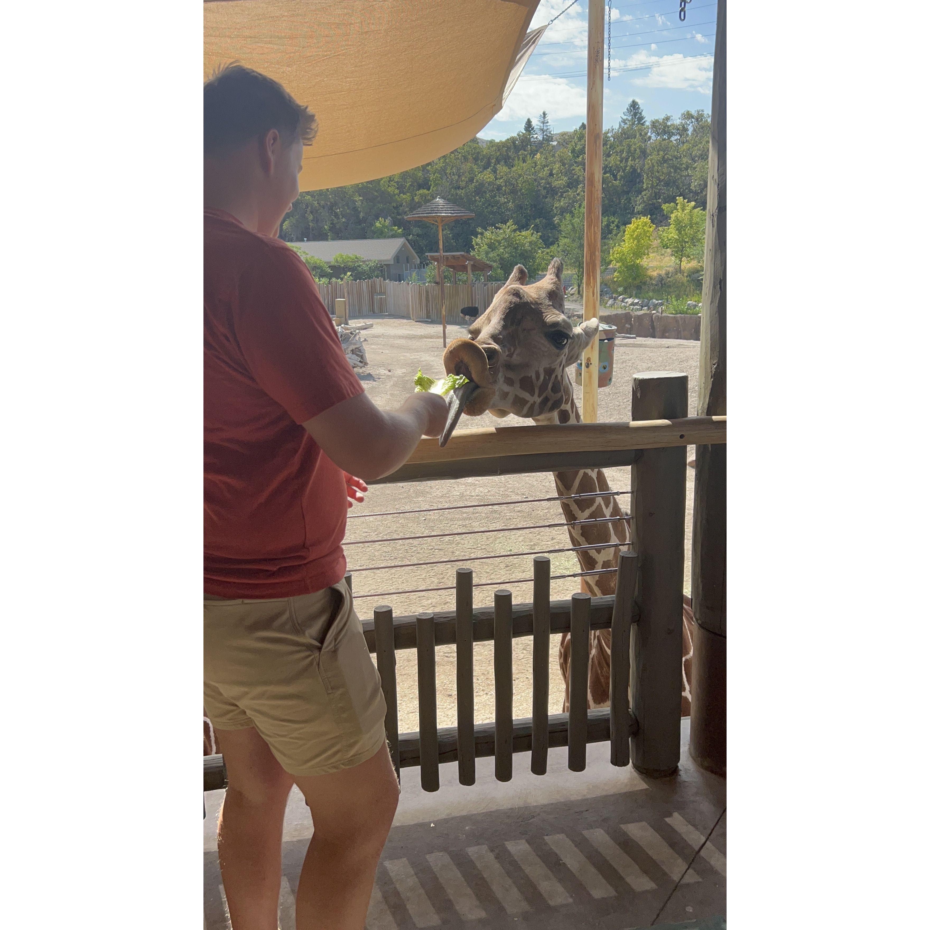 September 1st, 2024. Daniel feeding a giraffe!