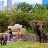 Indianapolis Zoo