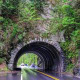 Cades Cove Scenic Loop