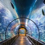 The Dallas World Aquarium