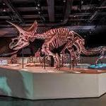 Houston Museum of Natural Science