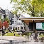 Birkdale Village