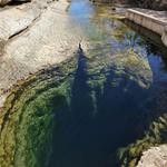 Jacob's Well Natural Area