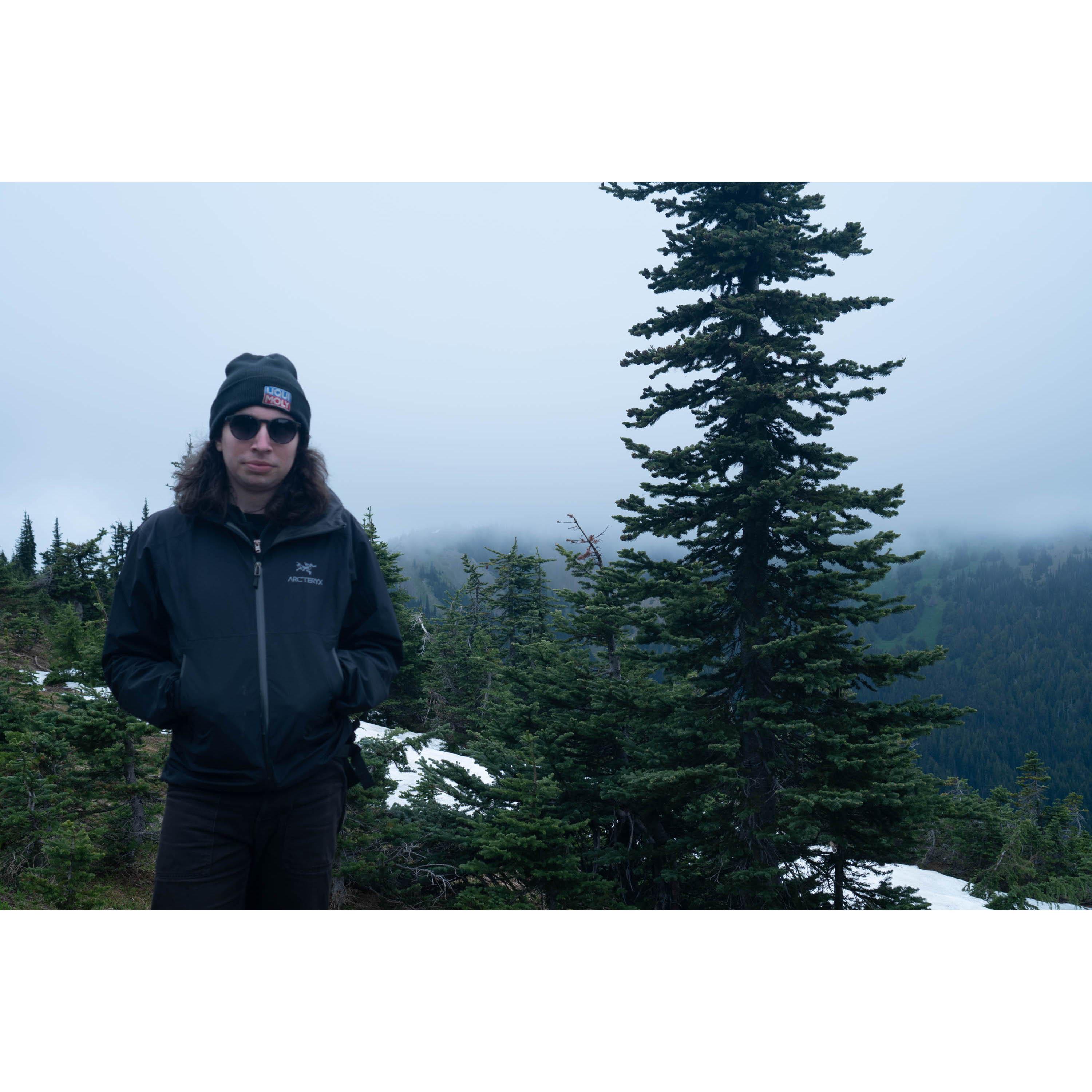 Yara on Hurricane Ridge