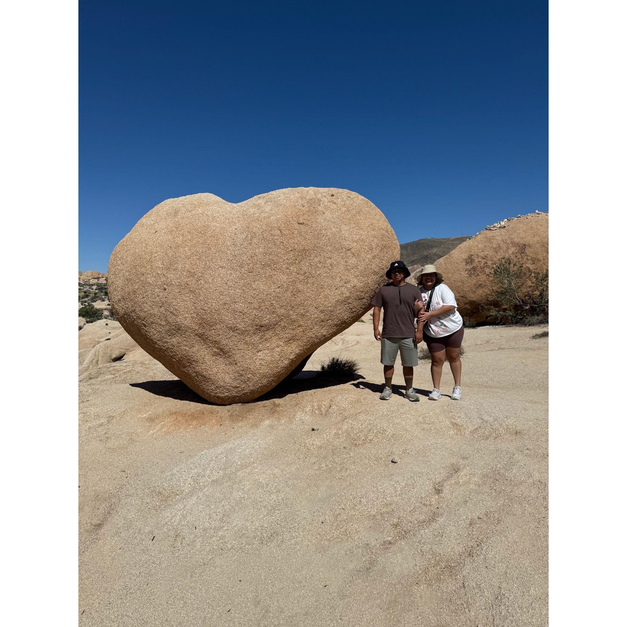 Joshua Tree-2025