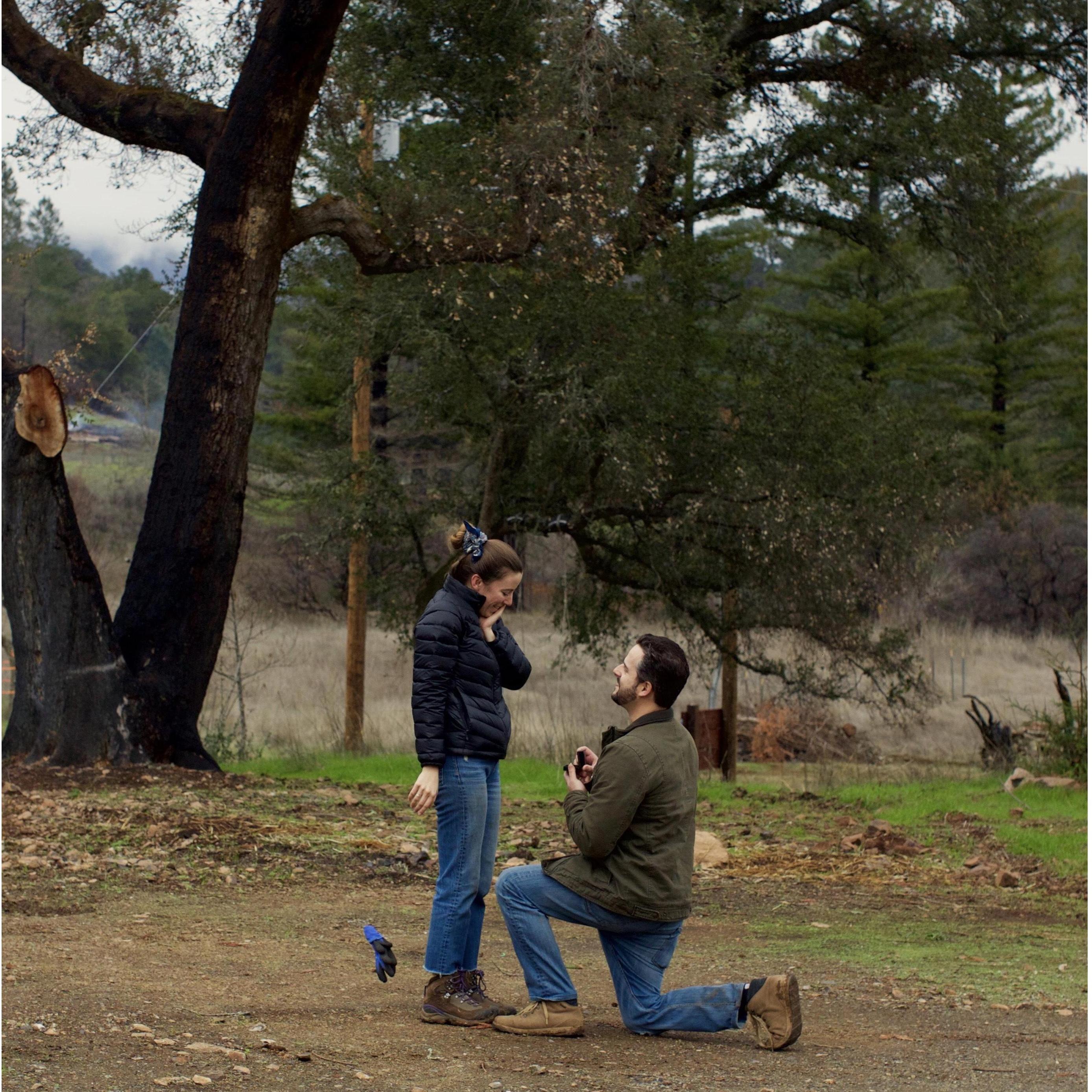 The surprise proposal at the Thompson family ranch, next to where the log cabin was pre-fire. Teagan was so shocked she dropped her work gloves! Shoutout to JP for snapping the moment!