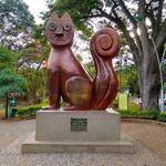 El Gato del Rio