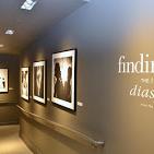 Museum of the African Diaspora