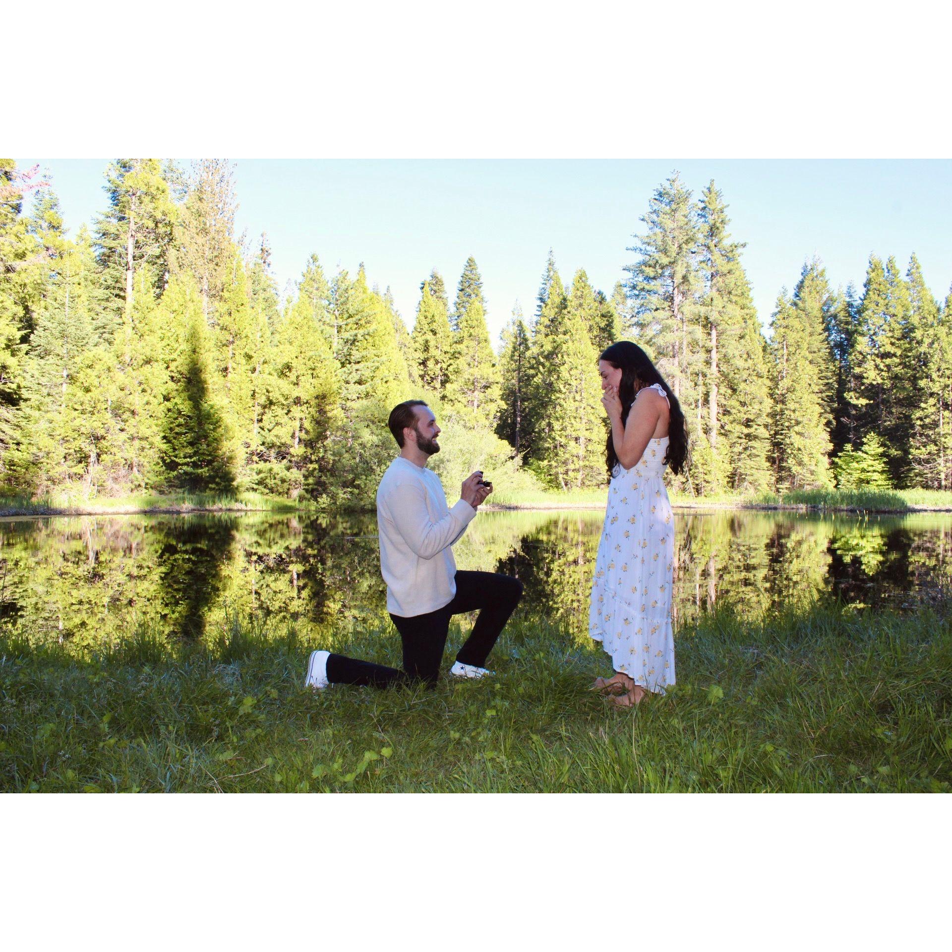 The Proposal. Fast forward 7 years later... We were on another family vacation at our favorite place, Shaver Lake. We were supposed to be taking family photos but he completely caught me by surprise.