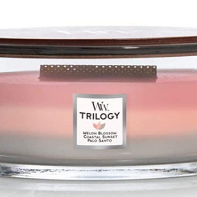WoodWick Shoreline Trilogy 16 oz Ellipse Jar Candle - Hearthwick Flame - Melon Blossom, Coastal Sunset, and Palo Santo