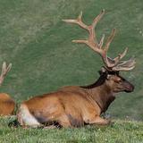 Rocky Mountain National Park