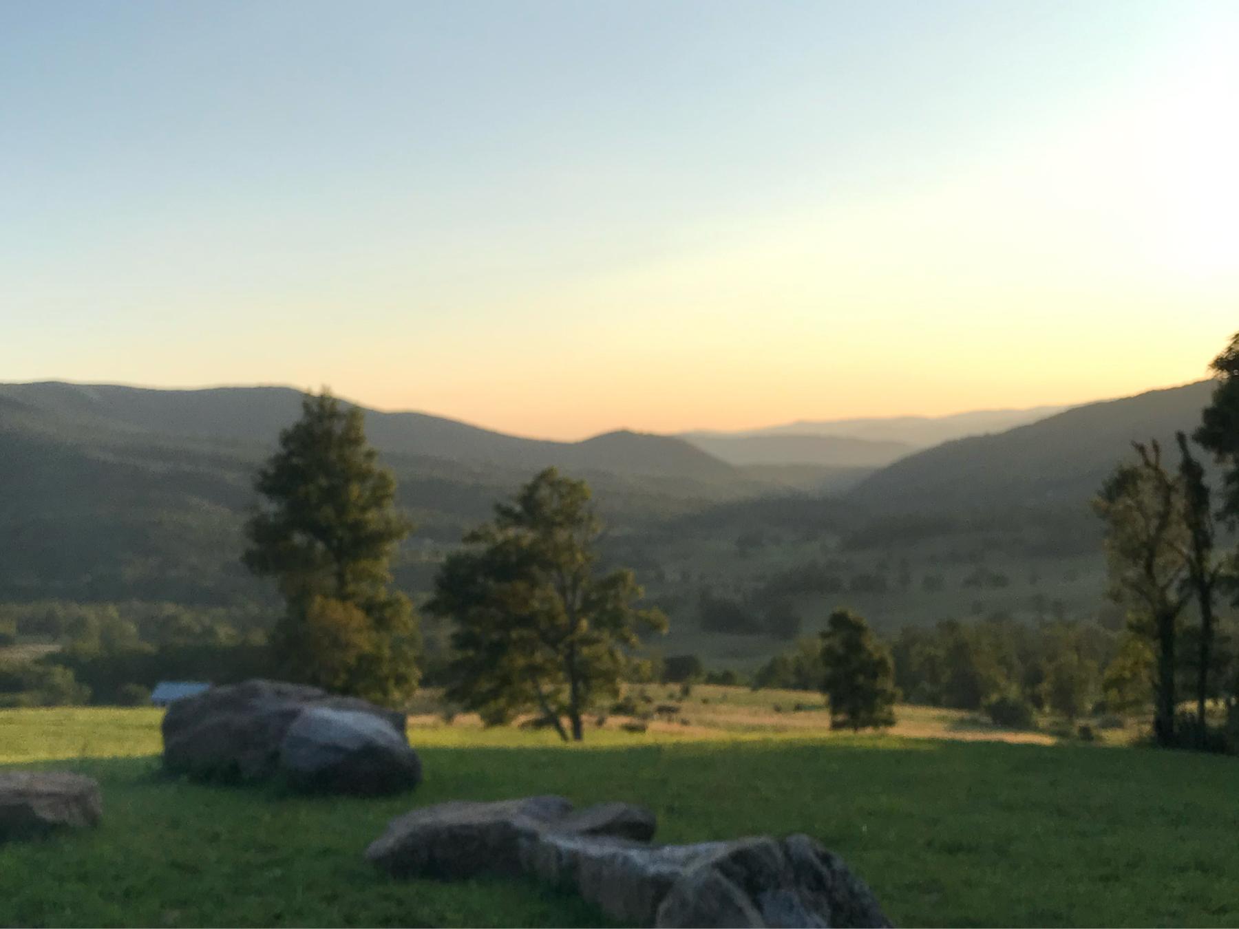 The Wedding Website of Dascher Pasco and Zach Nedzbala