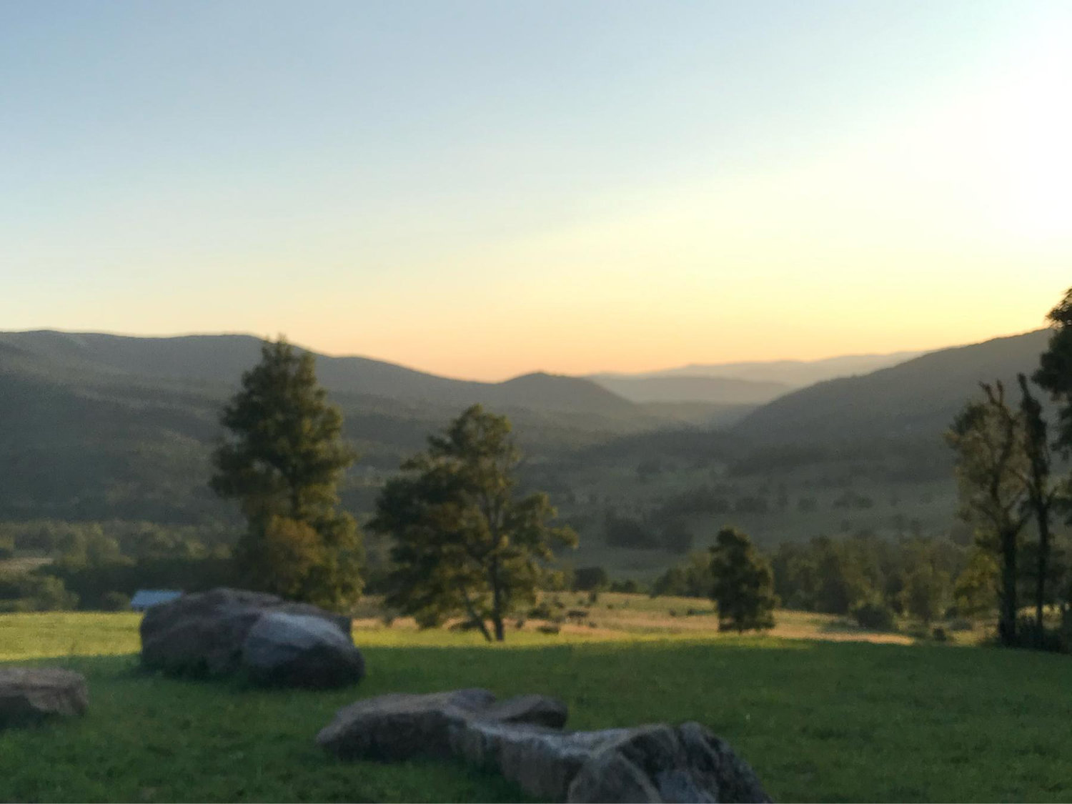 The Wedding Website of Dascher Pasco and Zach Nedzbala