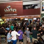 Sharky's