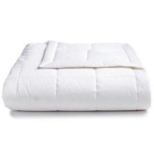 Charter Club - European White Down Full/Queen Blanket, Created for Macy's