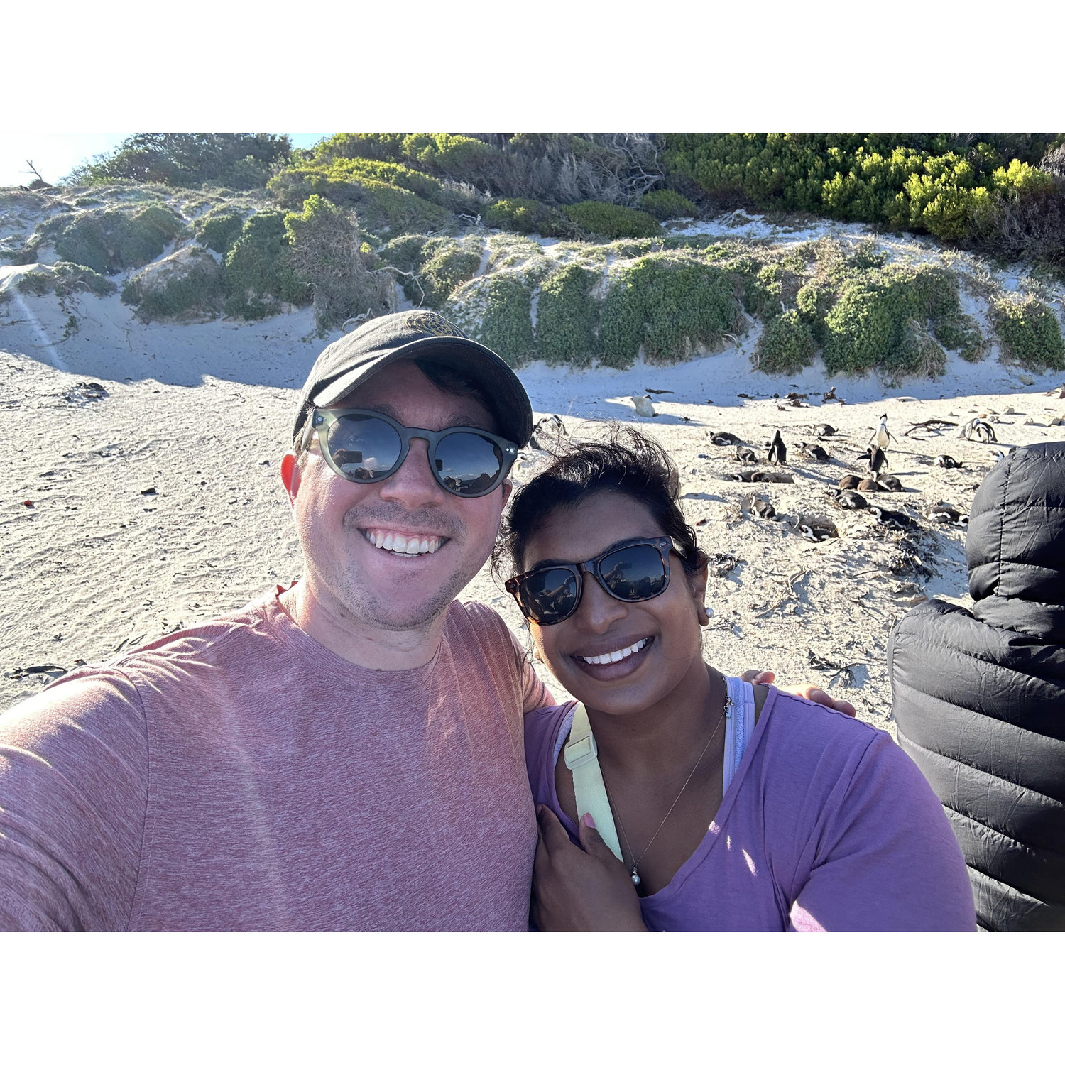 Boulders Beach