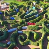 Maze Garden